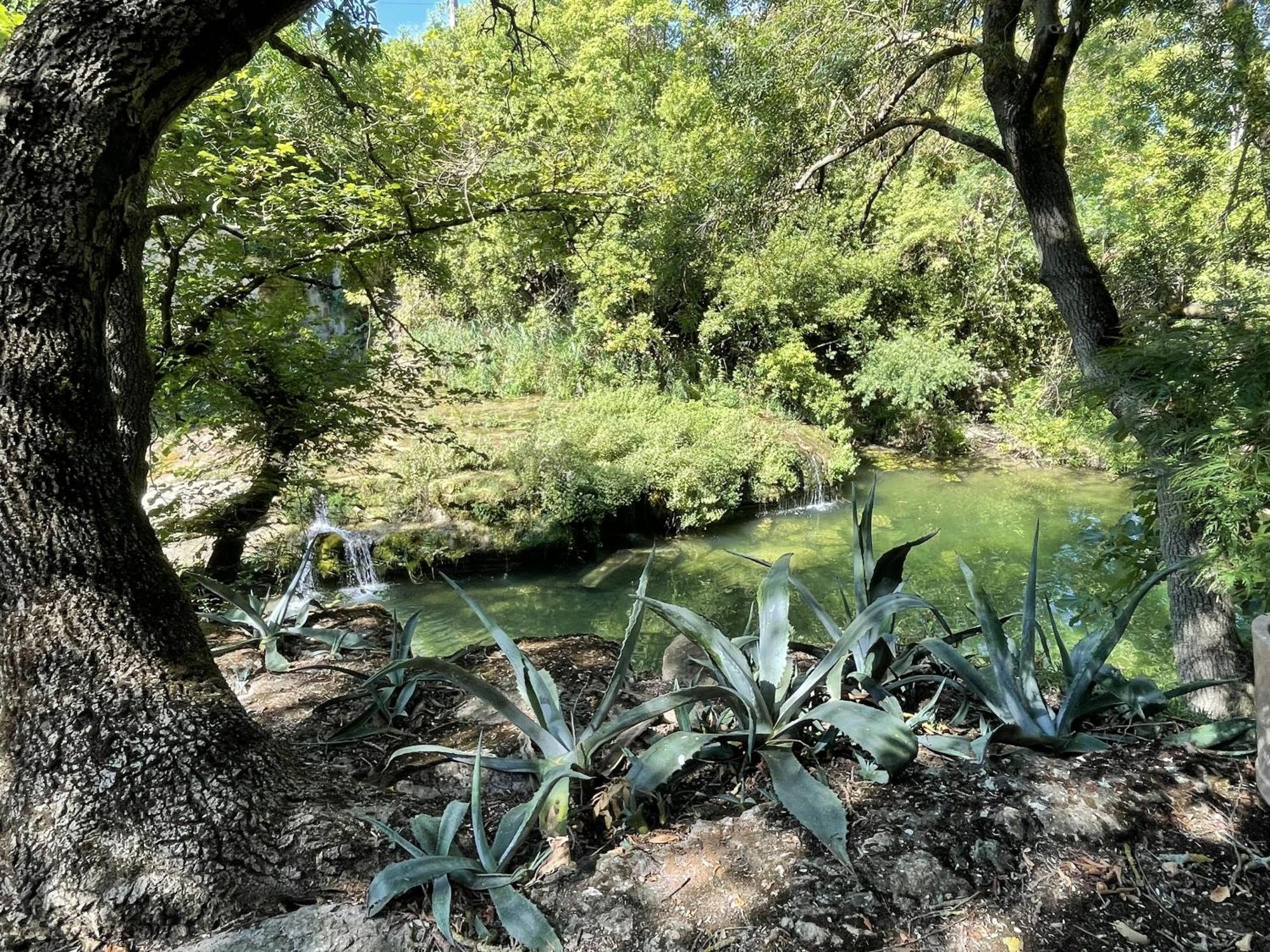 Le Domaine De La Tuilerie - Gite De Charme En Bord De Riviere Avec Piscine Servies-en-Val Zimmer foto